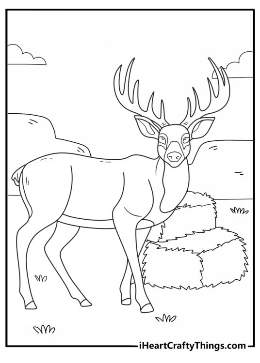 Deer coloring page for kids with a buck near a hay bale