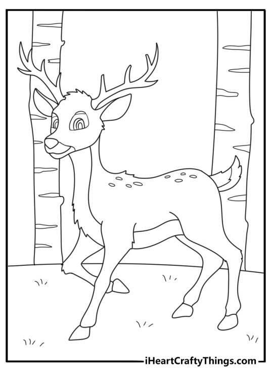 Deer coloring page showing a buck beside a quiet birch grove
