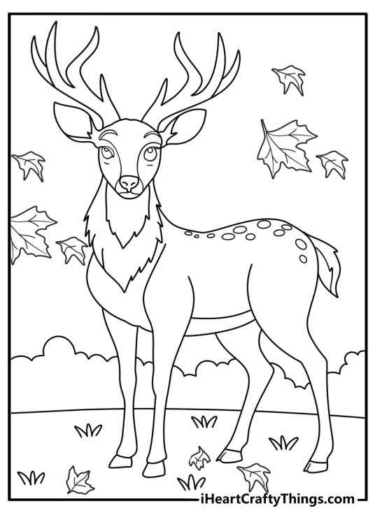 Deer coloring pages scene featuring a stag under falling maple leaves