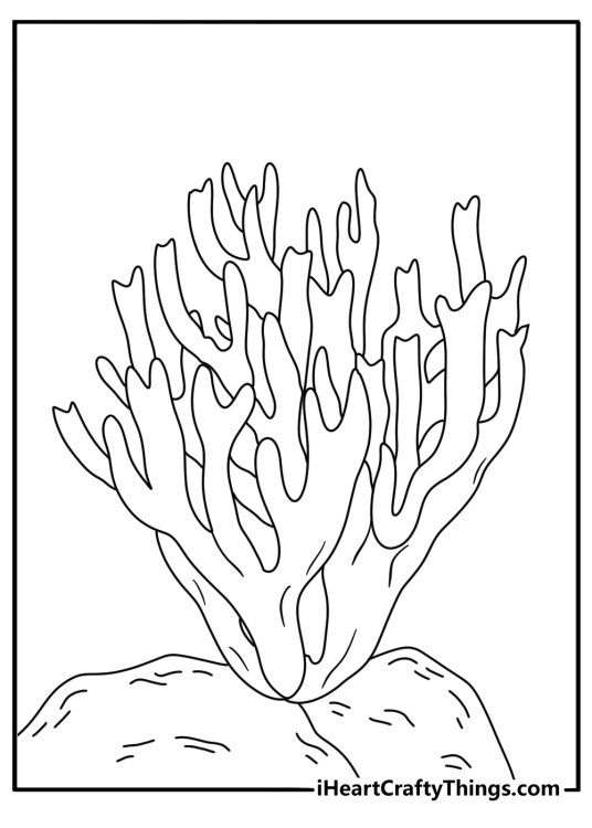 Detailed fungi coloring sheet showing a coral mushroom with branching tips