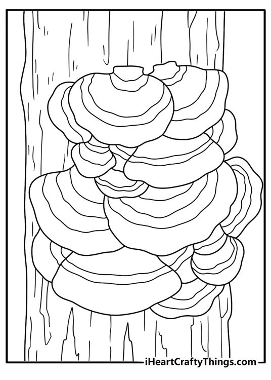 Detailed mushroom coloring page for adults featuring turkey tail fungi on bark