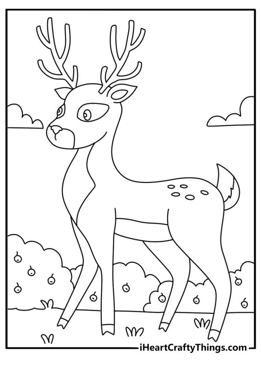 Easy woodland coloring sheet with a deer near a berry bush