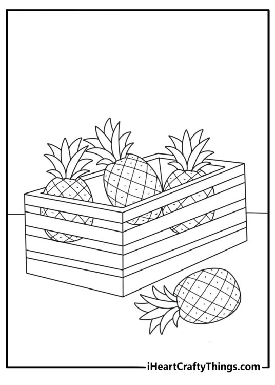 Farm workers place harvested pineapples into wooden crates