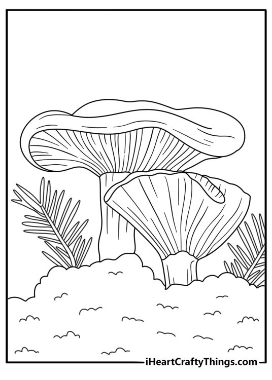 Free coloring page featuring a candy cap mushroom near pine needles