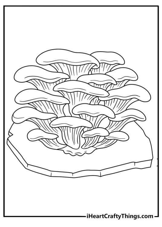 Free fungi printable featuring oyster mushrooms growing in layered fans