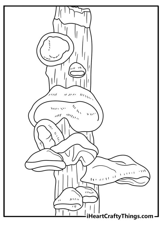 Free mushroom printable featuring a wood ear fungus on a branch