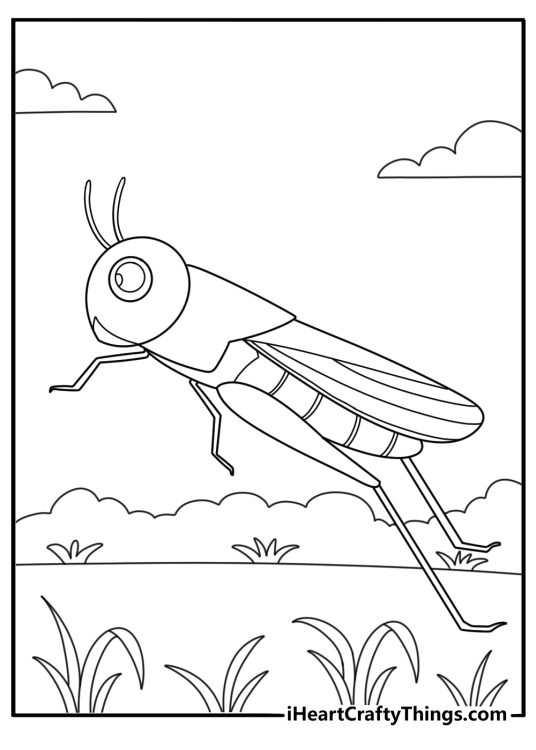 Grasshopper coloring page showing insect mid leap across open field