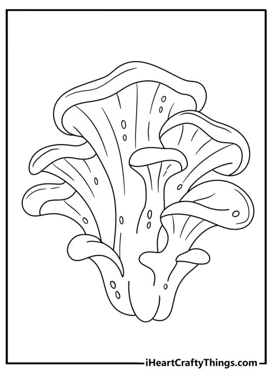 Kids can color a maitake cluster with many ruffled caps
