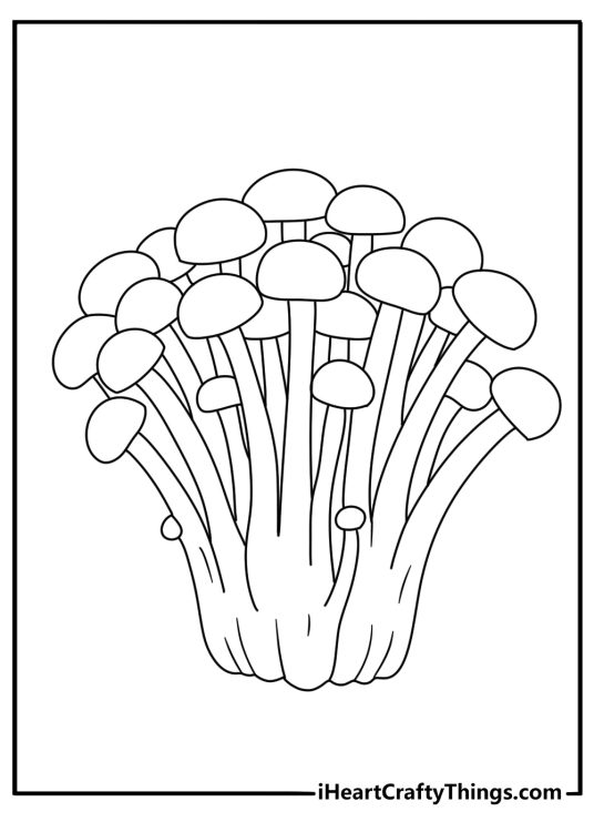 Long enoki stems form a neat cluster in this easy fungi sheet