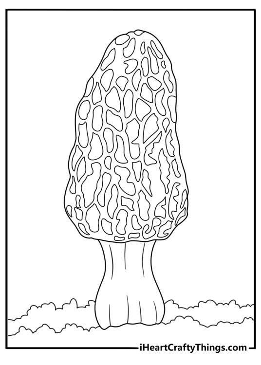 Mushroom coloring page showing a morel with a honeycomb cap