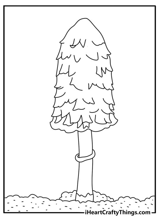 Mushroom coloring page showing a shaggy ink cap beside wet soil