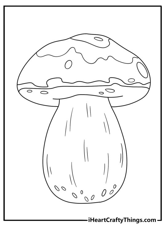 Mushroom coloring pages featuring a porcini with a thick stem