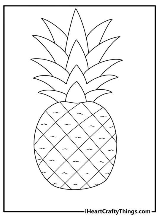Pineapple leaves form a bold border around this easy coloring sheet