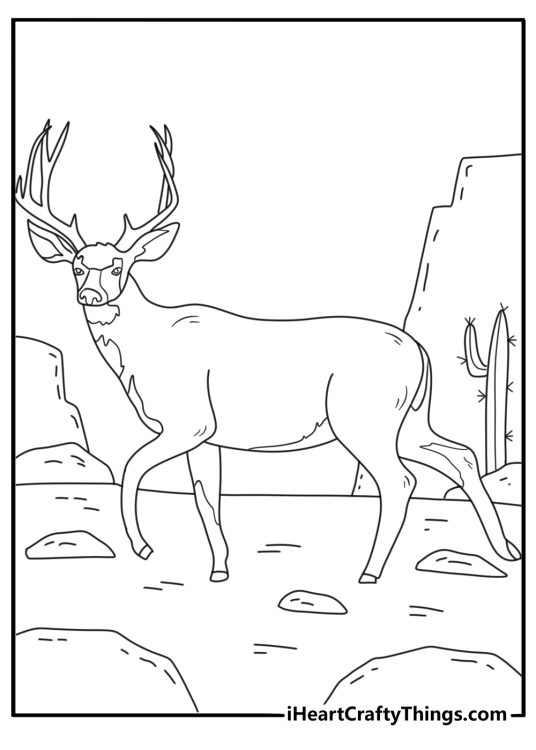 Printable animal coloring page showing a mule deer in desert scrub