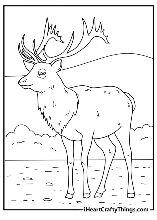 Printable deer coloring sheet showing a stag near a cabin path