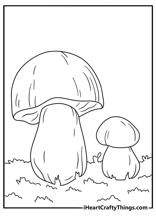 Printable mushroom page with a bolete growing beside forest moss