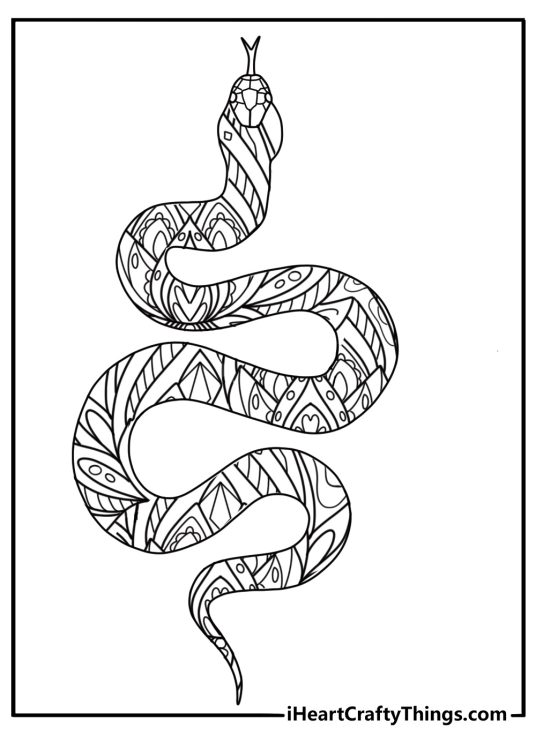 Anaconda body pattern close up mandala style coloring page for adults