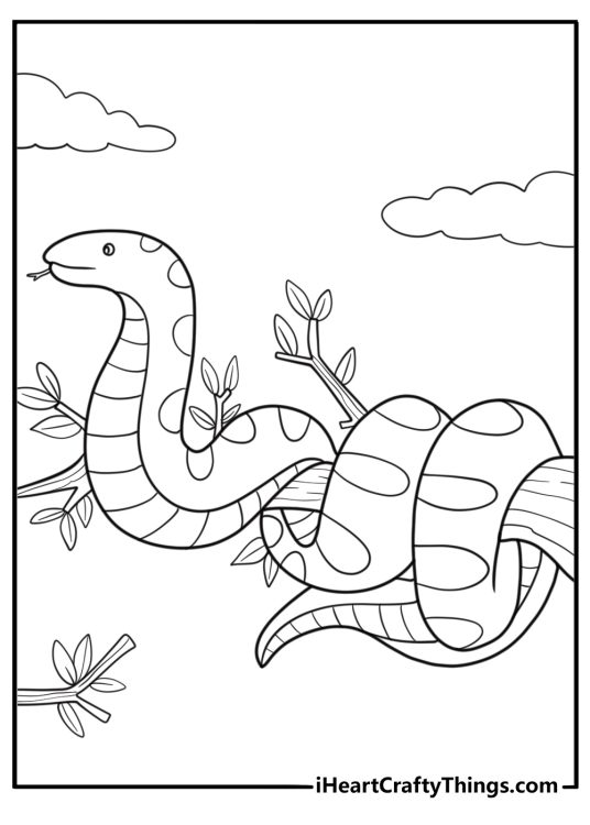 Anaconda coiled on a tree branch detailed coloring page