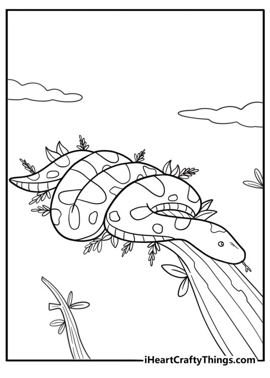 Anaconda coloring pages