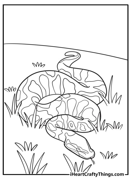 Anaconda hiding in tall grass jungle scene coloring sheet