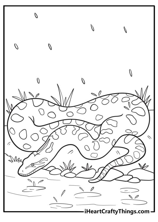 Anaconda in the rain next to rocks simple coloring page