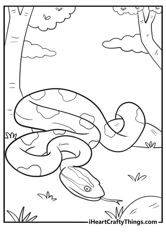 Anaconda moving across jungle floor easy coloring page for kids