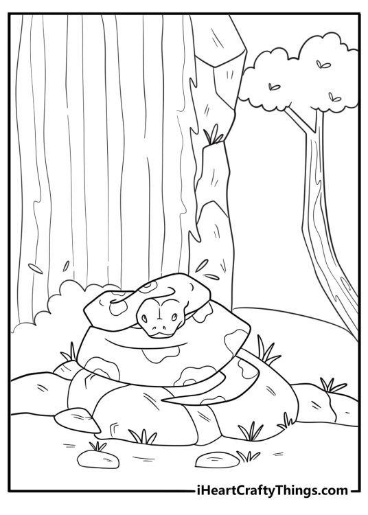 Anaconda near a waterfall tropical setting coloring sheet