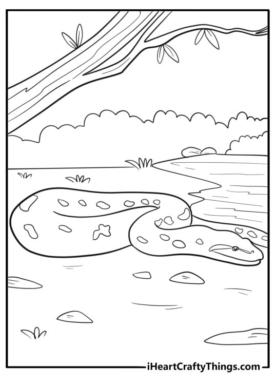 Anaconda resting on riverbank nature themed coloring sheet