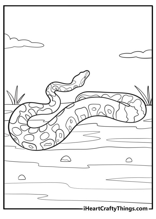 Anaconda slithering through muddy water coloring sheet