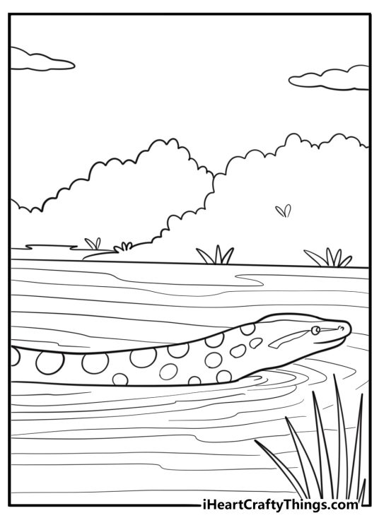 Anaconda swimming in a river simple coloring sheet
