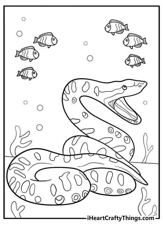 Anaconda underwater with fish detailed coloring sheet