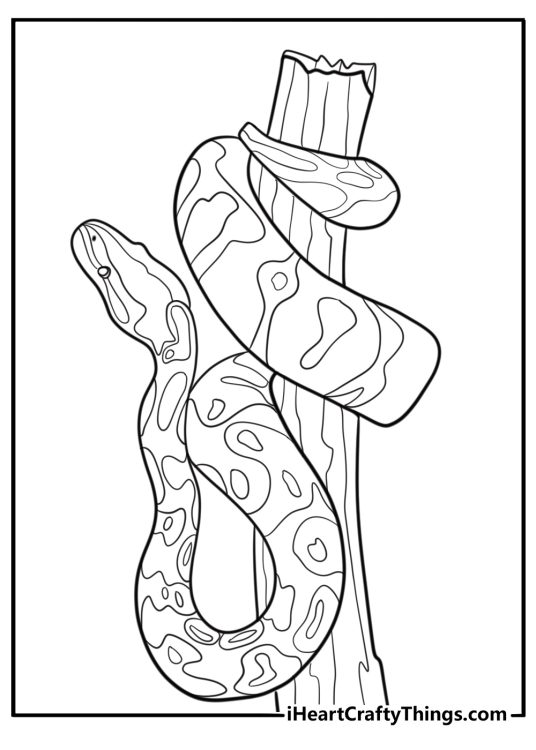 Anaconda wrapped around a log easy coloring page for kids