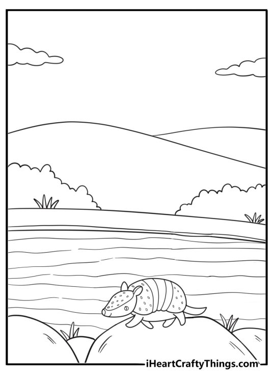Armadillo beside a small pond peaceful coloring sheet