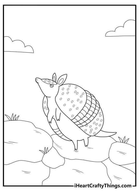 Armadillo climbing over rocks nature themed coloring sheet