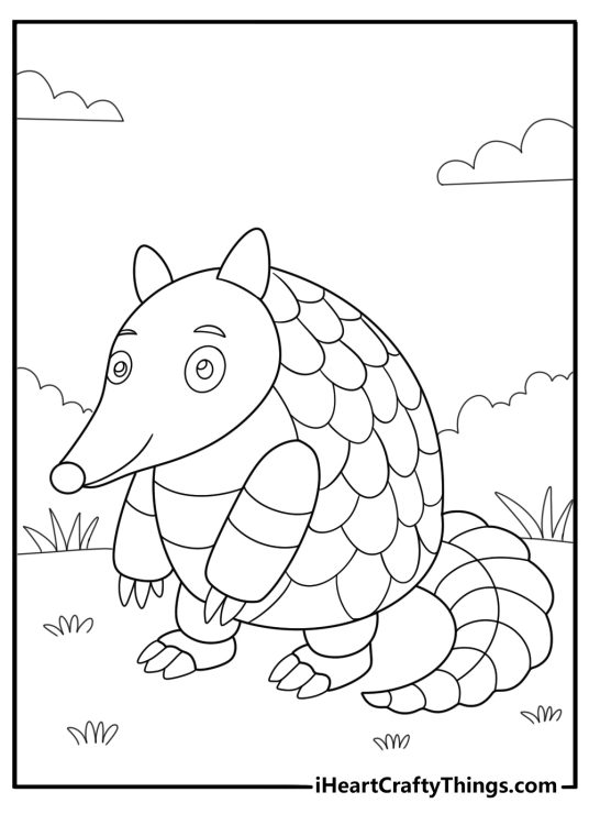 20 Armadillo Coloring Pages