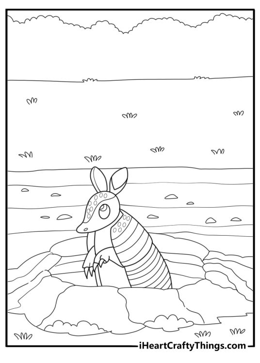 Armadillo digging in the dirt detailed coloring page