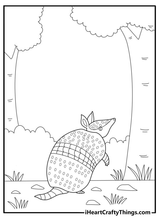 Armadillo in forest setting with trees around coloring page
