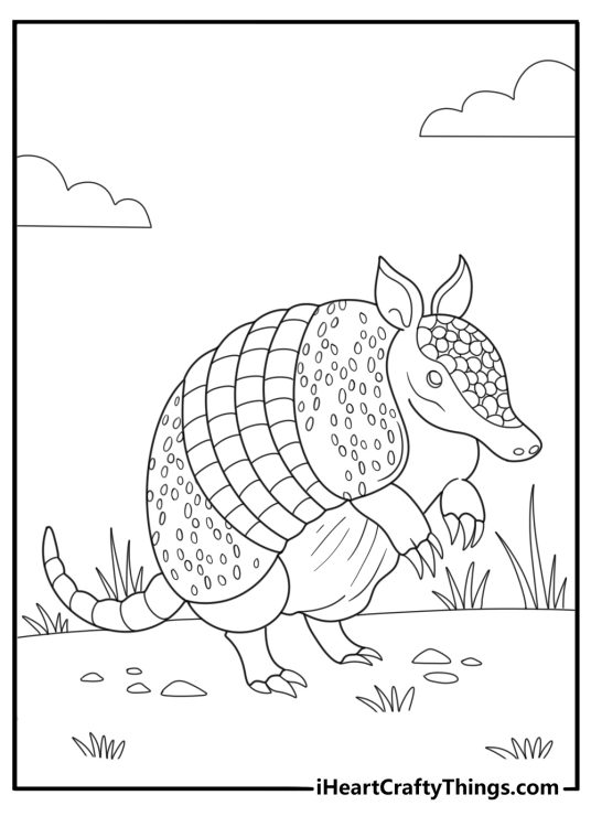Armadillo with armor plates close up detailed coloring page