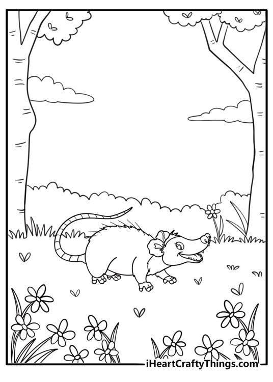 Baby opossum next to flowers in a garden simple coloring sheet