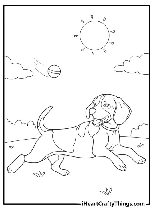 Beagle chasing a ball in the park fun coloring page