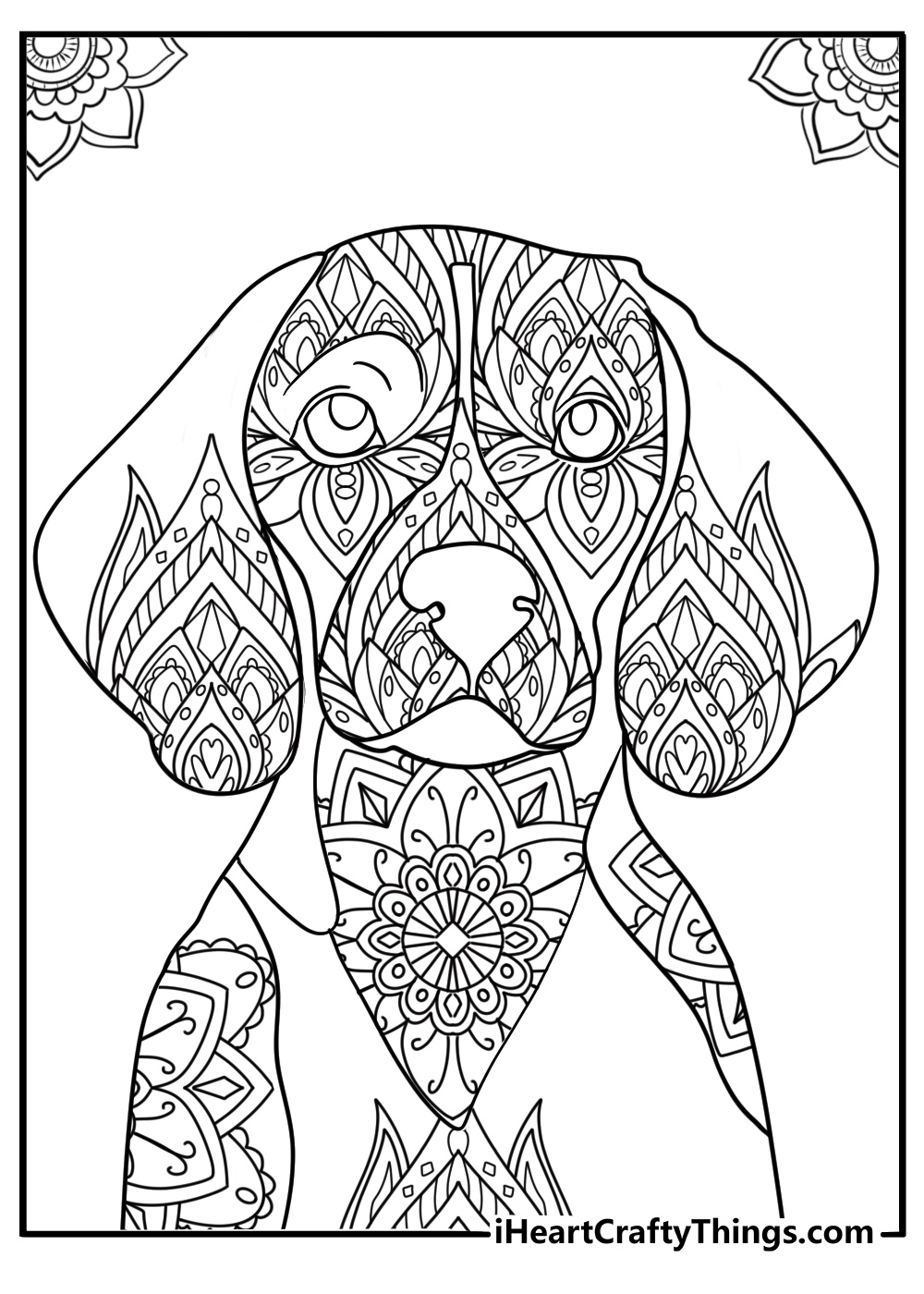 beagle close up mandala style design for adults coloring page