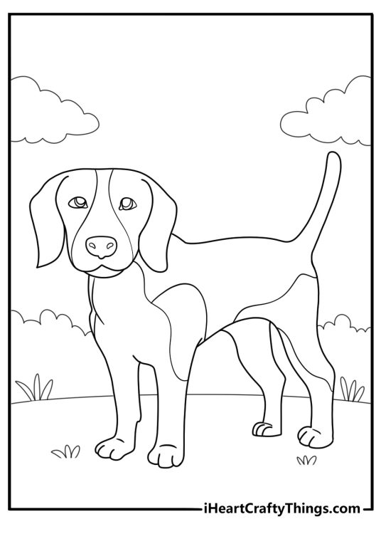 30 Beagle Coloring Pages