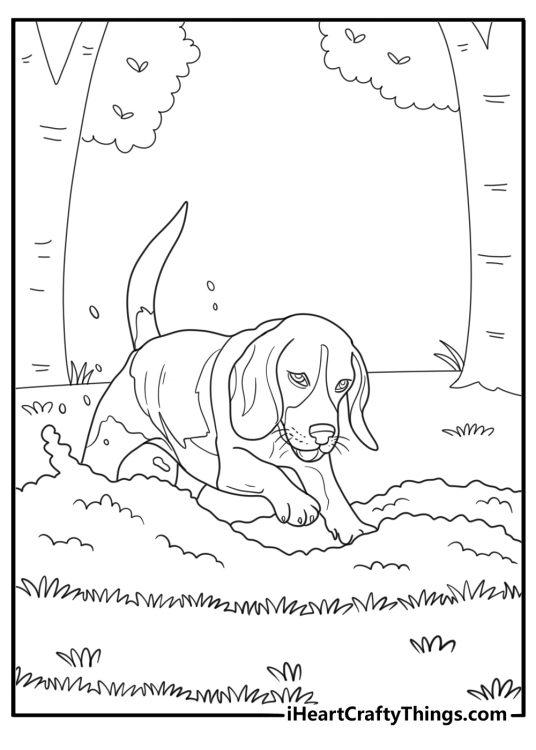 Beagle digging in the dirt garden scene coloring sheet