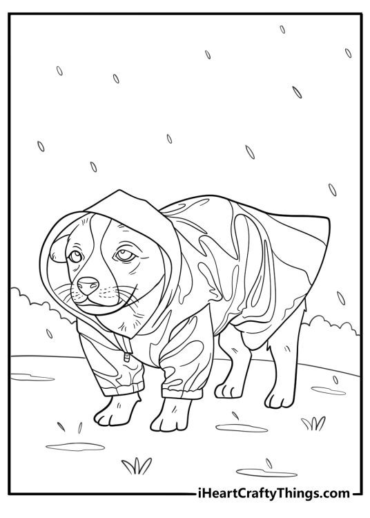 Beagle in a raincoat on a rainy day cartoon coloring page