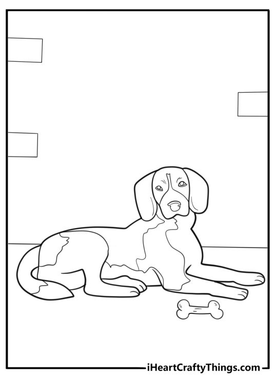 Beagle lying down near a toy bone relaxed coloring sheet