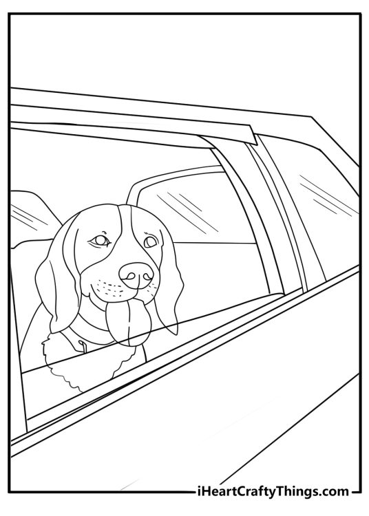 Beagle riding in a car with the window open fun coloring sheet