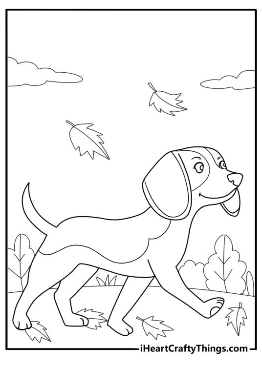 Beagle walking in autumn leaves easy coloring sheet