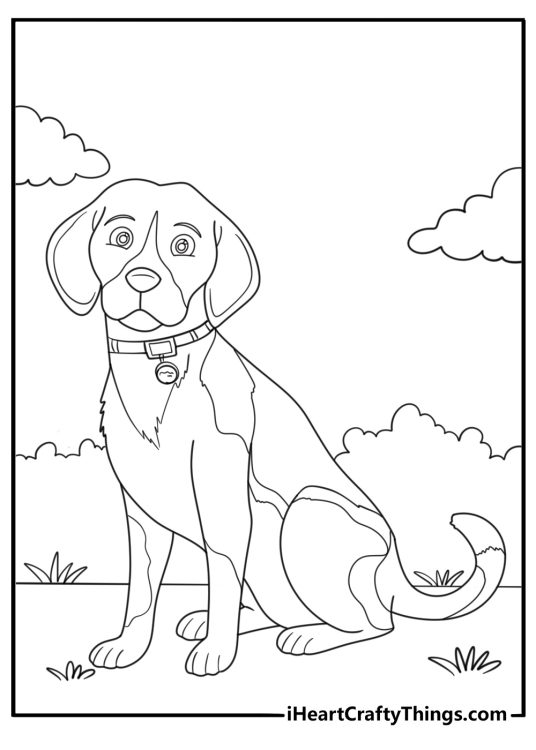 Beagle with collar and tag coloring sheet for kids