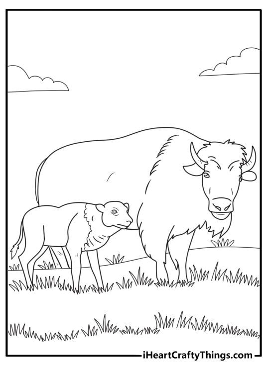 Bison calf standing next to adult bison coloring page for kids