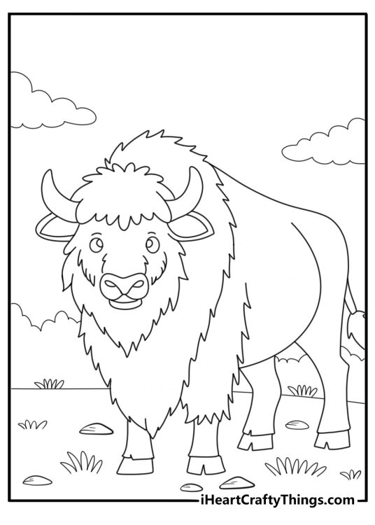 Bison crossing a dirt path near a forest coloring sheet